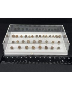 Quartz xl, double-terminated; 1 lot with 31 pieces; unique 