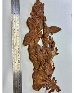 Copper; Native (xl); New Cornelia pit, Ajo, AZ, USA; Museum Specimen. Unique.