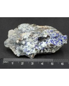 Azurite xls in Selenite (Top!); Serpieri Mine, Laurion, Greece; Min; unique piece
