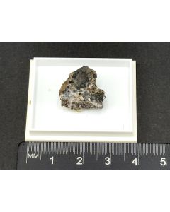 Aurorite; Aurora Mine, NV, USA; Min; unique piece
