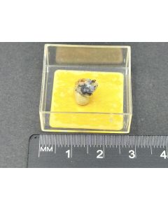 Aschamalmite; Val di Basso, Val Vigezzo, Italy; TN; unique piece
