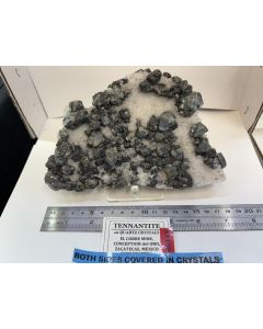 Tennantite xls; El Cobre Mine, Conception del Oro, Zacatecas, Mexico. Cabinet. Unique specimen.