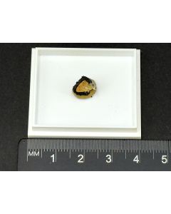 Asbecasite xl (TOP!); Cherbadung, Binntal, Switzerland; TN; unique piece