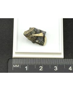 Bartonite; Coyote Peak, Humboldt Co., CA, USA; TN; unique piece