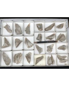 Probertite; Kern County, California, USA; 1 unique flat