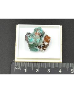 Aurichalcite xls on Cuprite; Tsumeb, Namibia; TN; unique piece