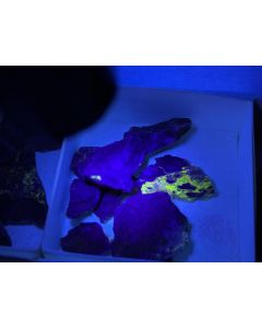 Idrialite; Cinnabar; Pecoraite; etc.; Culver Baer Mine; Sonoma County; California; USA; 1 flat; unique