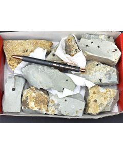 Pyrite xls, "Iron Cross" twins on matrix; Extertal, Lippe, Germany; 1 unique lot