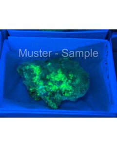 Andersonite xls (SWUV-active!); Sodium Zippeite xls (SWUV-active!); D-Day Mine, Utah, USA; NS