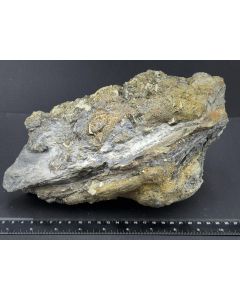 Pyrite xls; Java (Central Java), Indonesia; unique piece