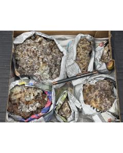 Moonstone xls (oligoclase) on matrix; St. Eulalia, Chihuahua, Mexico; 1 flat; unique