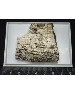 Brookite xls; Gorb, Binntal, Switzerland; Scab; unique piece
