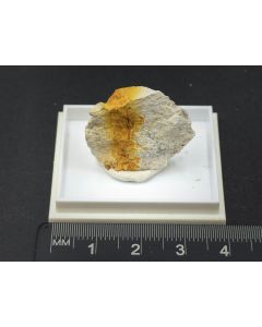 Buddingtonite; Sharon Hills, CA, USA; Min; unique piece