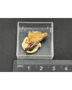 Arsenocrandallite xls; Clara Mine, Black Forest, Germany; TN; unique piece
