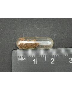 Arcanite; Dingo Donga Cave, Madura, WA, Australia; capsule; unique piece
