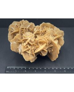 Desert Rose; Tunisia; 1.26 kg; unique piece
