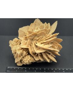 Desert Rose; Tunisia; 1.18 kg; unique piece
