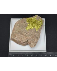 Autunite (UV!) xls; Bergen, Vogtland, Germany; Scab; unique piece
