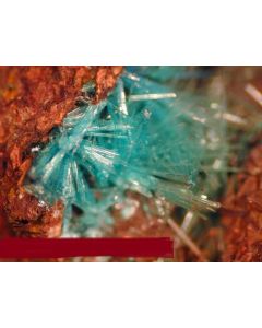 Aurichalcite xx; Chah Khuni Mine, Anarak, Ostana Yazd, Mesopotamia; MM