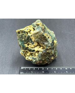 Fossilized (petrified) wood with Chalcedony; green; Indonesia; unique piece
