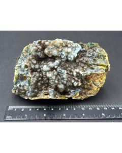 Fossilized (petrified) wood with Chalcedony; green; Indonesia; unique piece
