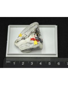 Sinnerite, Realgar xls; Lengenbach Quarry, Binntal, Valais, Switzerland; Min; unique piece