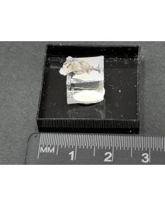 Trechmannite, Realgar xls; Lengenbach Quarry, Binntal, Valais, Switzerland; TN; unique piece