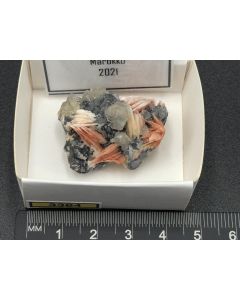 Cerussite, Barite, Galena xls; Mibladen, Morocco; Min; unique piece