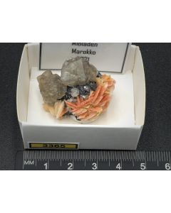 Cerussite, Barite, Galena xls; Mibladen, Morocco; Min; unique piece