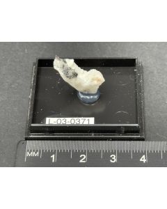 Rutile, Wurtzite-2H xls; Lengenbach Mine, Binntal, Valais, Switzerland; TN; unique piece