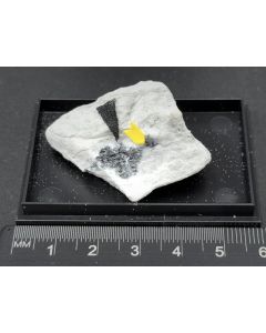 Quadratite, Marrite xls; Lengenbach Mine, Binntal, Valais, Switzerland; Min; unique piece