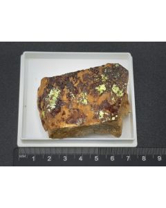 Meta-Uranocircite xls; Davier Mine, Lawrence Co., SD, USA; Gerd Tremmel collection; Scab; unique piece
