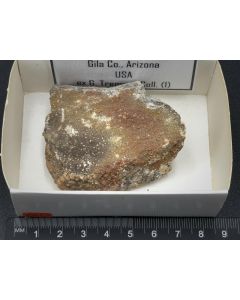 Arsendescloizite xls; C&B Mine, Gila Co., Arizona, USA; Gerd Tremmel collection; Scab; unique piece
