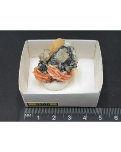 Cerussite, Barite, Galena xls; Mibladen, Morocco; Min; unique piece
