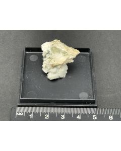 Epididymite xls; Mount Malosa, Zomba, Malawi; TN; unique piece
