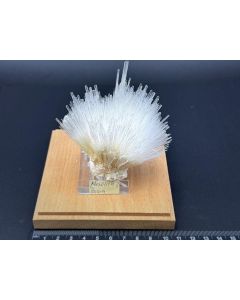 Mesolite xls; Pune, India; Gerd Tremmel collection; Scab; unique piece
