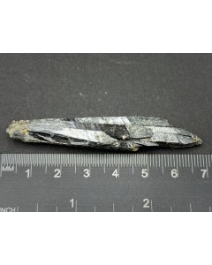 Aegirine xl; Malawi; Gerd Tremmel collection; Scab; unique piece
