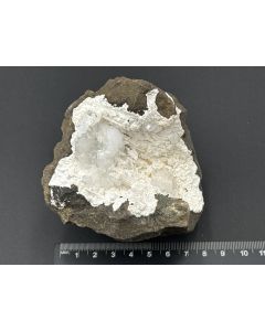 Goosecreekite, Epistilbite, Heulandite xls; Jalgaon, India; Gerd Tremmel collection; Scab; unique piece