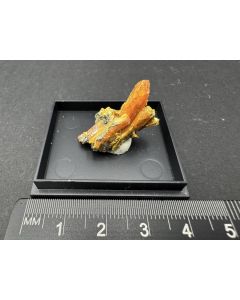 Orpiment xls; Shimen Mine, Changde, Hunan Province, China; TN; unique piece