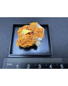 Parapierrotite, Realgar xls; Allchar, Rozdan, Macedonia; TN; unique piece

