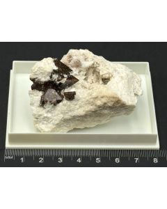 Zircon xls (UV!); Lovozero, Murmansk, Russia; Gerd Tremmel collection; Scab; unique piece
