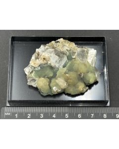 Prehnite xls; Rauschermühle Quarry, Niederkirchen, Germany; Gerd Tremmel collection; Scab; unique piece