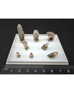 Topaz xls; Thomas Range, Utah, USA; Gerd Tremmel collection; 8 TN as unique piece