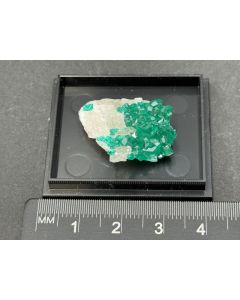 Dioptase xls; Tsumeb Mine, Otavi Mountains, Namibia; Ilse Baer collection; TN; unique piece