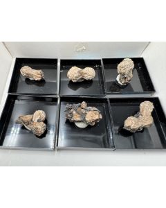 Olmiite xls; N'Chwaning Mine II, Kalahari Manganese Field, South Africa; MM; 1 lot with 6 pieces; unique