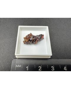 Siderite xls; Tsumeb Mine, Otavi Mountains, Namibia; Ilse Baer collection; TN; unique piece
