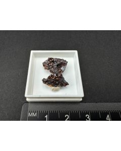 Siderite xls; Tsumeb Mine, Otavi Mountains, Namibia; Ilse Baer collection; TN; unique piece
